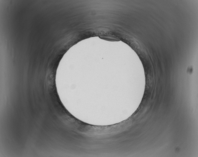 X0000116310037201001111147