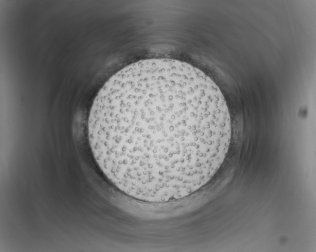 X0000116310038201001111147