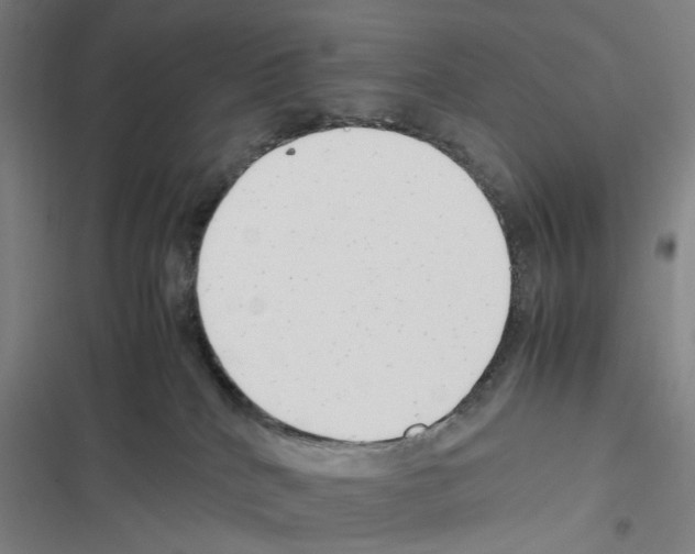 X0000116310040201001111147