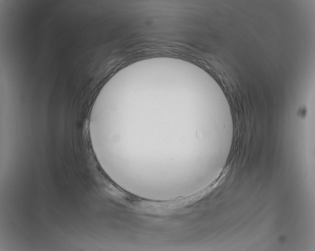 X0000116310041201001111147