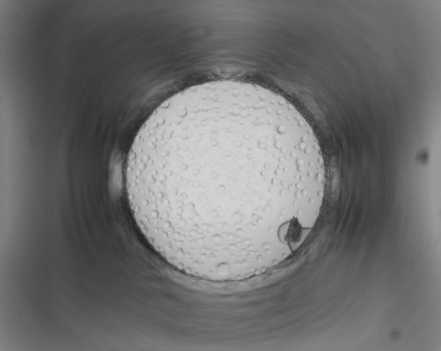 X0000116310042201001111147