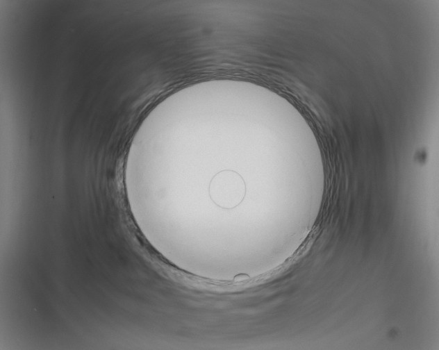 X0000116310043201001111147