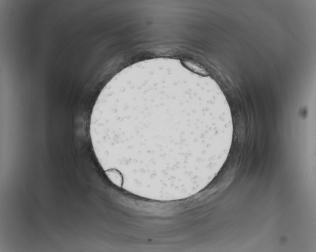 X0000116310044201001111147