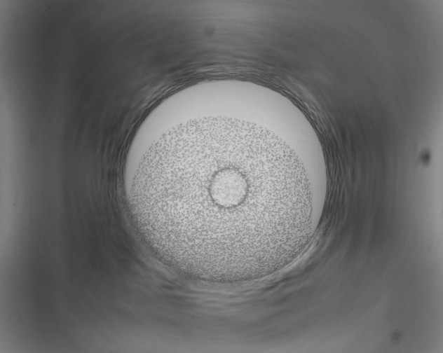 X0000116310045201001111147