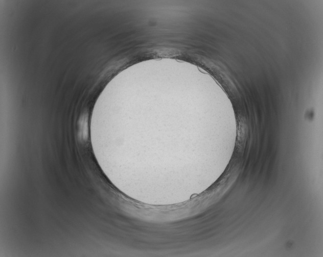 X0000116310046201001111147