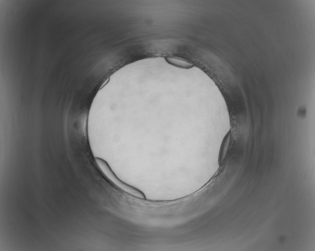 X0000116310047201001111147