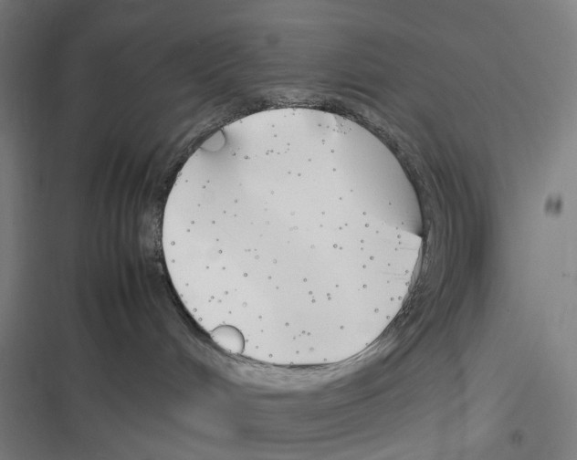 X0000116310048201001111147