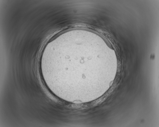 X0000116310049201001111147