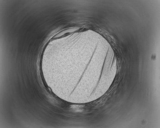 X0000116310051201001111147