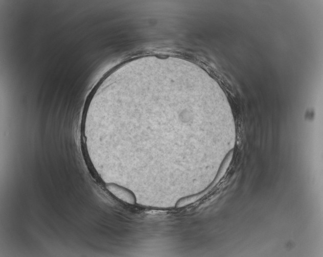 X0000116310052201001111147