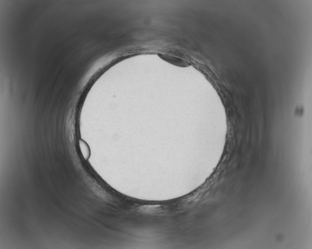 X0000116310054201001111147