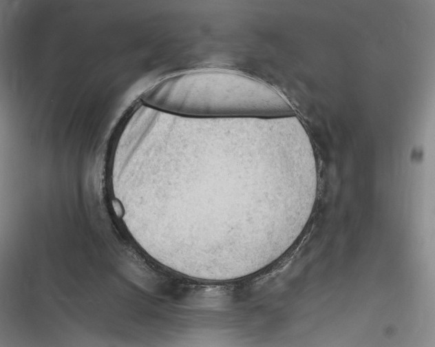 X0000116310056201001111147