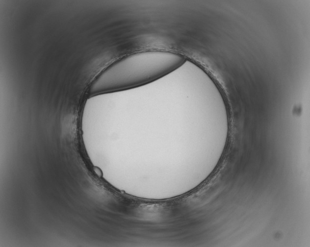 X0000116310057201001111147