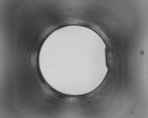 X0000116310058201001111147