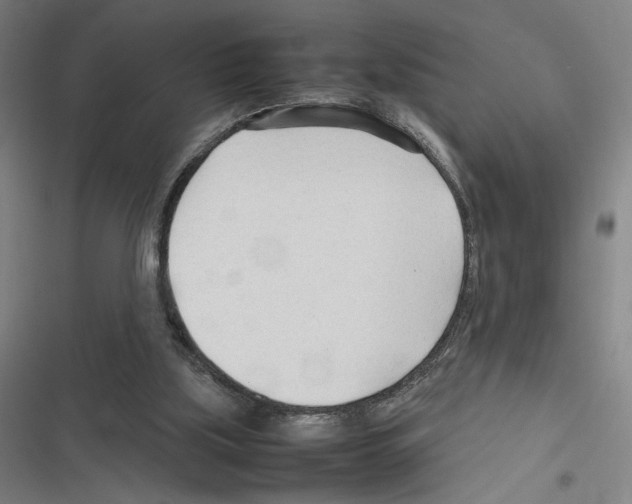 X0000116310059201001111147