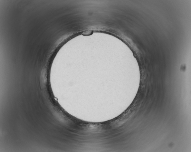 X0000116310060201001111147