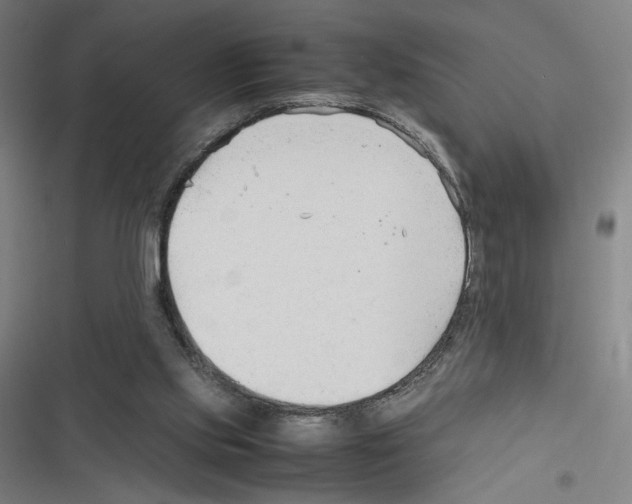 X0000116310061201001111147