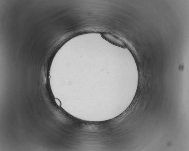 X0000116310062201001111147