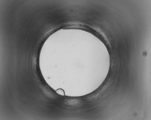 X0000116310063201001111147