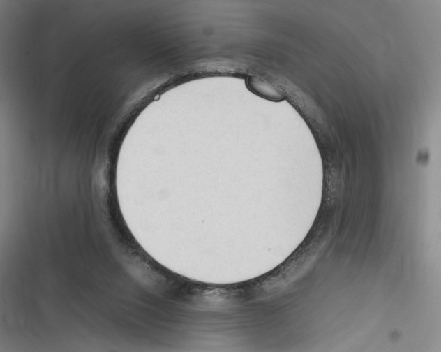 X0000116310064201001111147