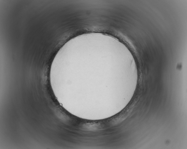 X0000116310065201001111147