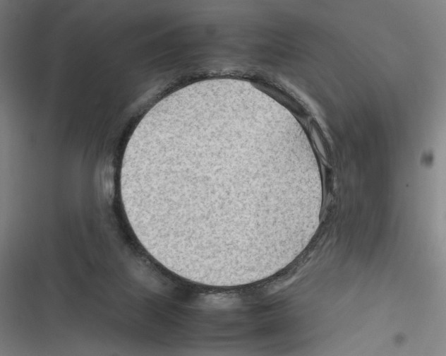 X0000116310067201001111147