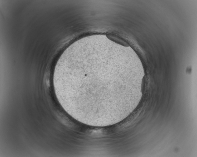 X0000116310068201001111147