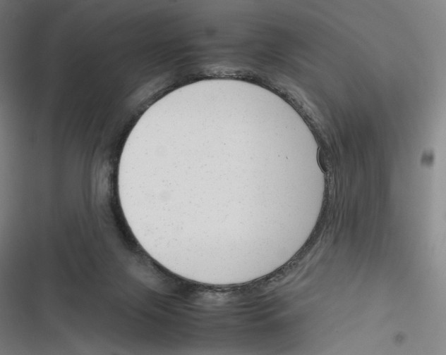 X0000116310071201001111147