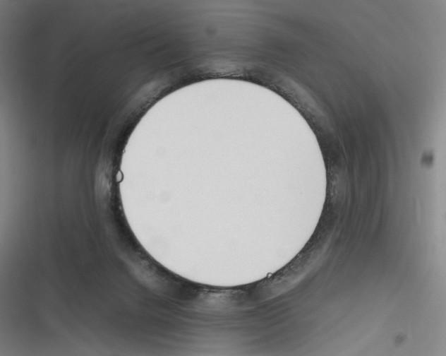 X0000116310072201001111147