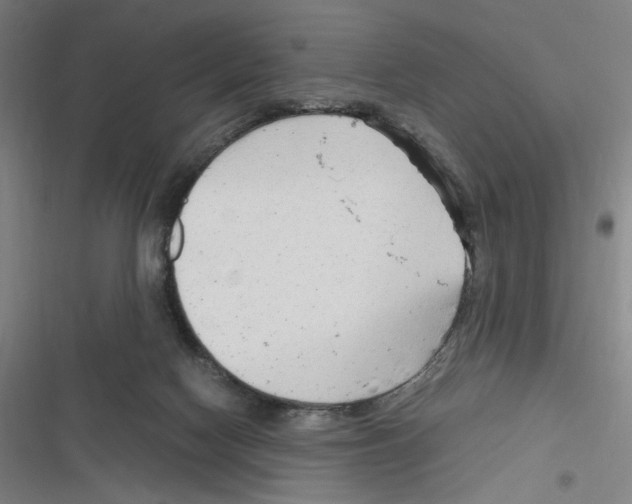 X0000116310074201001111147