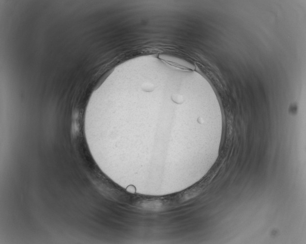 X0000116310075201001111147