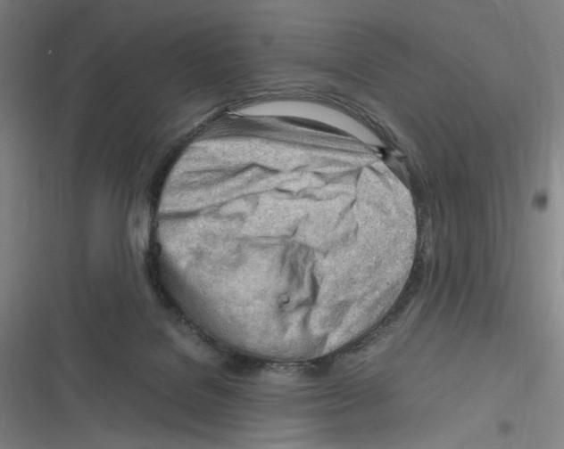 X0000116310076201001111147