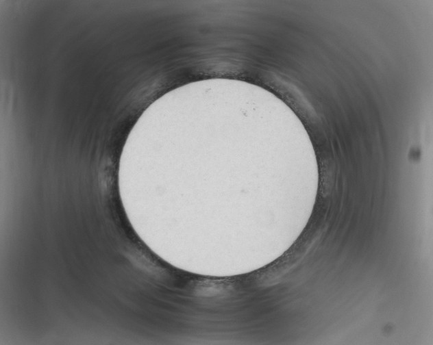 X0000116310077201001111147