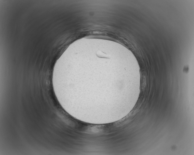 X0000116310078201001111147