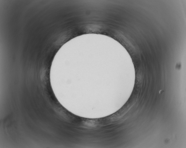 X0000116310079201001111147