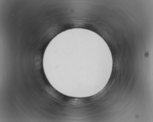 X0000116310082201001111147