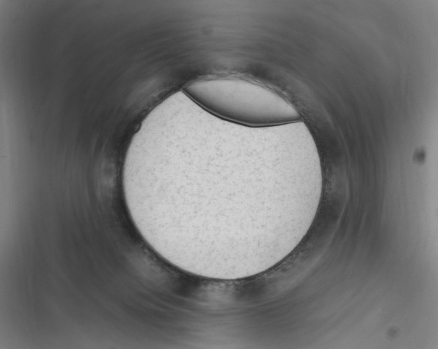 X0000116310084201001111147