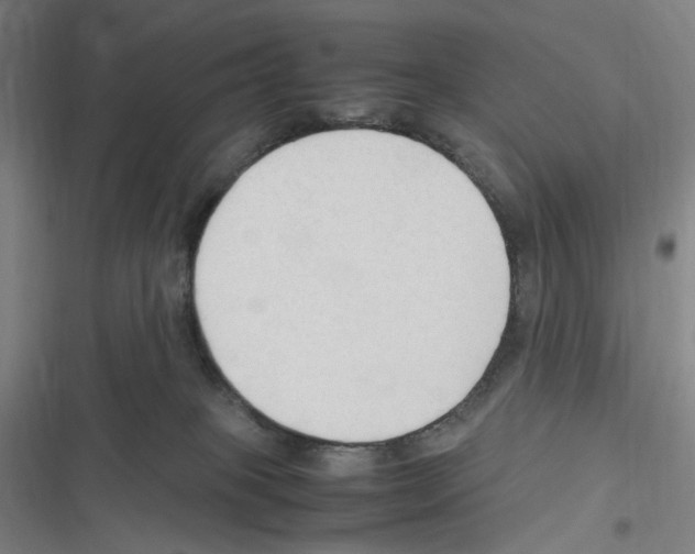 X0000116310085201001111147