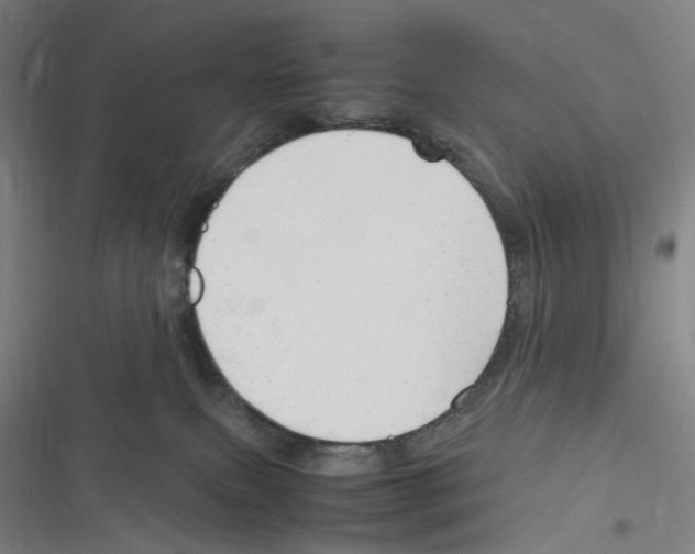 X0000116310087201001111147