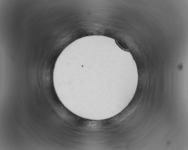 X0000116310088201001111147