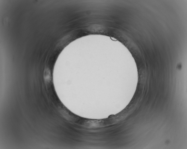 X0000116310089201001111147