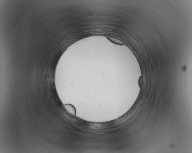 X0000116310091201001111147