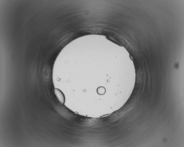 X0000116310092201001111147