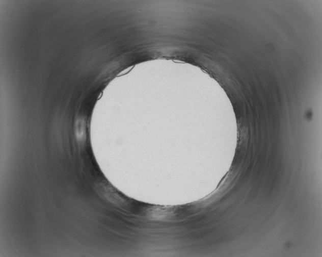 X0000116310094201001111147