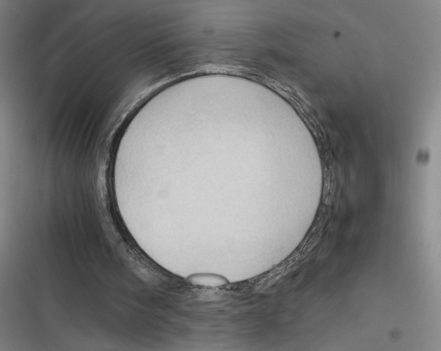 X0000116310098201001111147