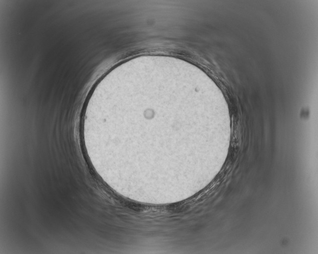 X0000116310099201001111147