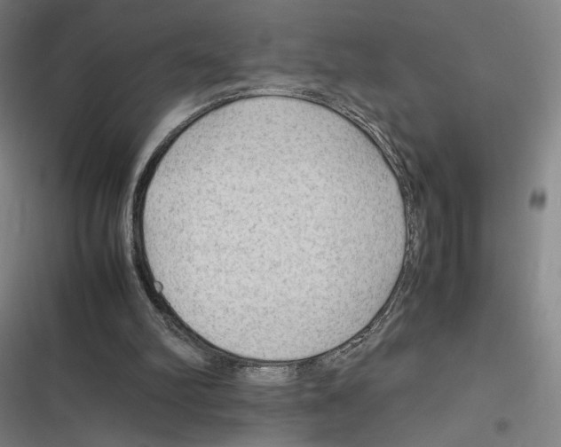 X0000116310102201001111147