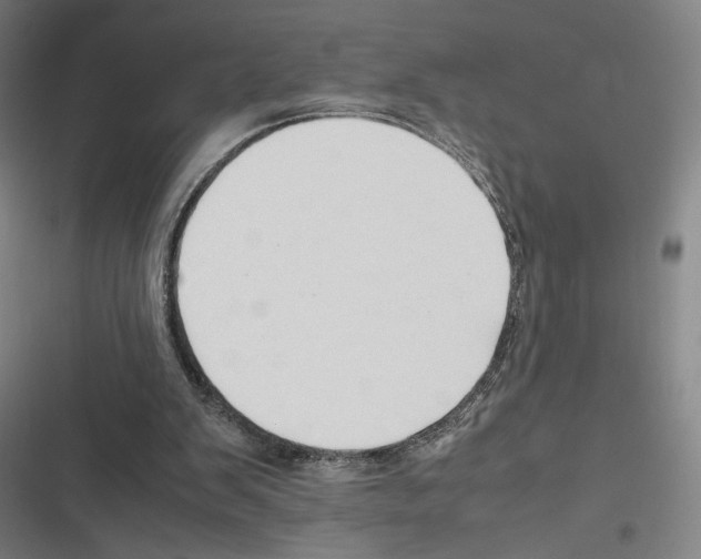 X0000116310103201001111147