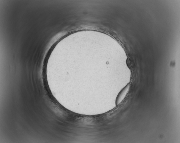 X0000116310104201001111146