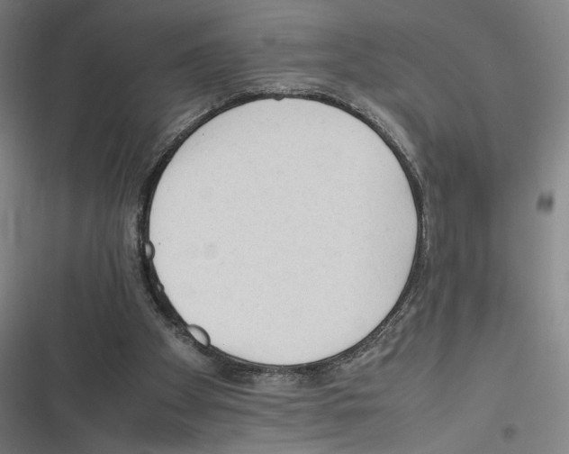 X0000116310105201001111146